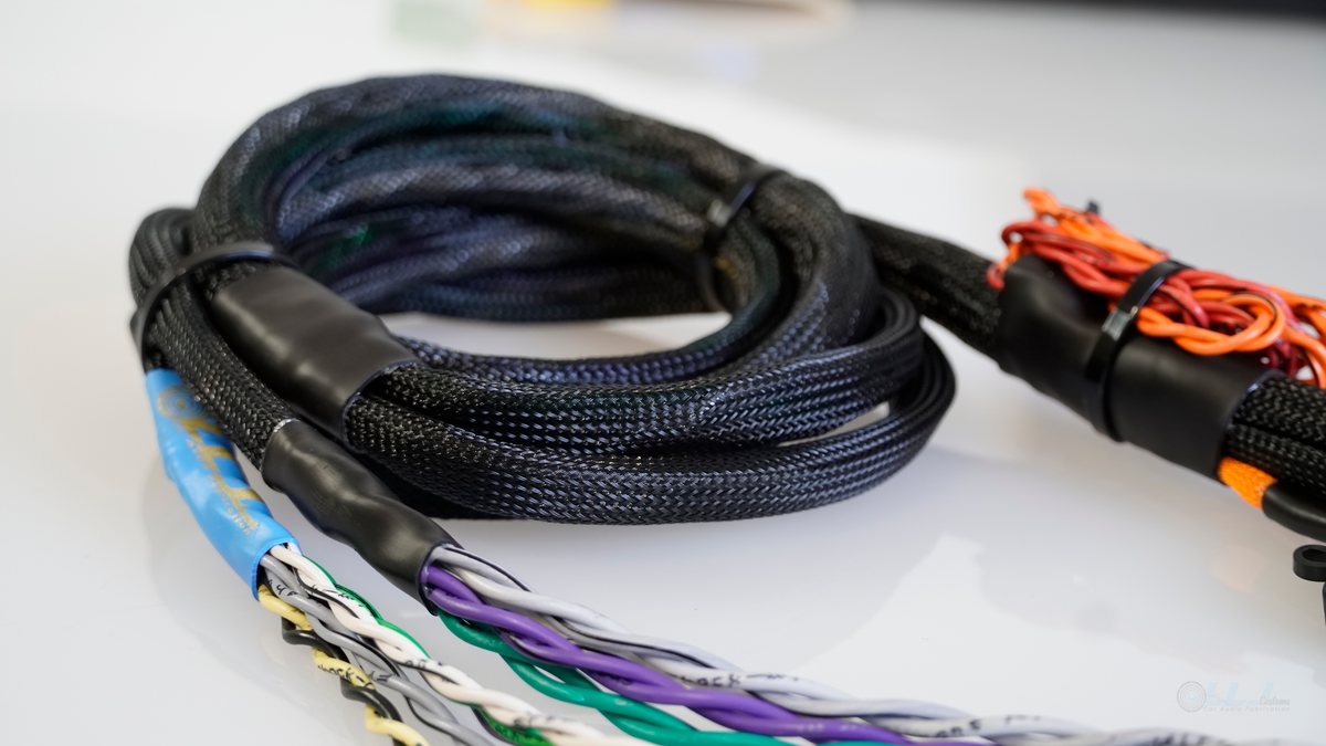 Elite Bose Factory Amplifier Loopback Harness Accessory