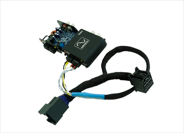 Ford T-harness 2018-2024 (Non-Amplified) R2G